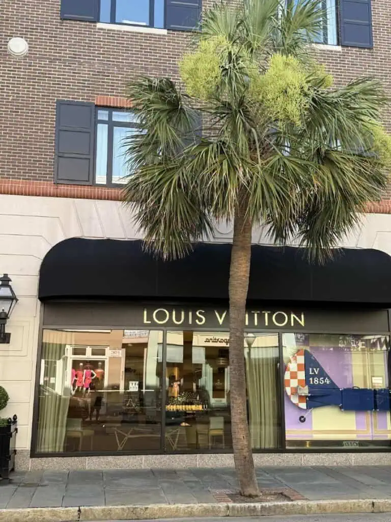 Louis Vuitton store with palm tree outside.