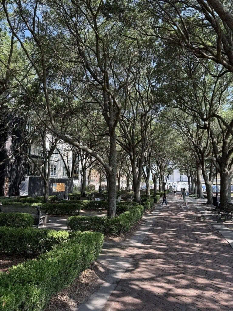 Tree-lined park pathway with benches and hedges.