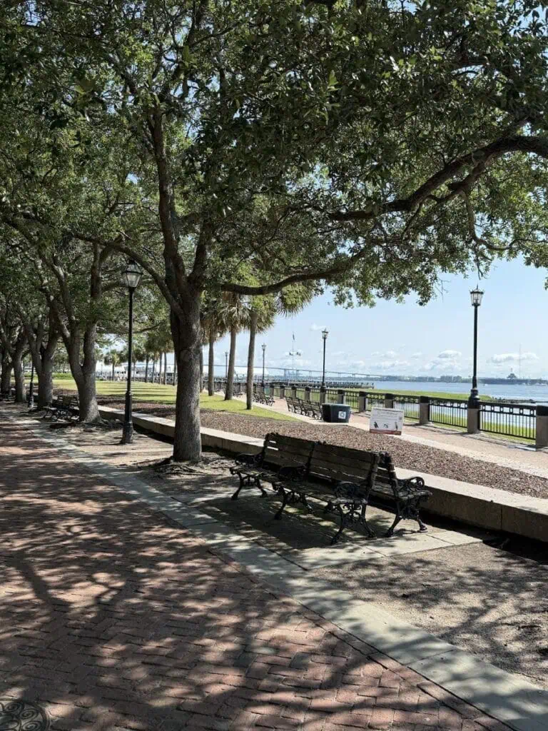 Shaded park pathway with benches by waterfront.