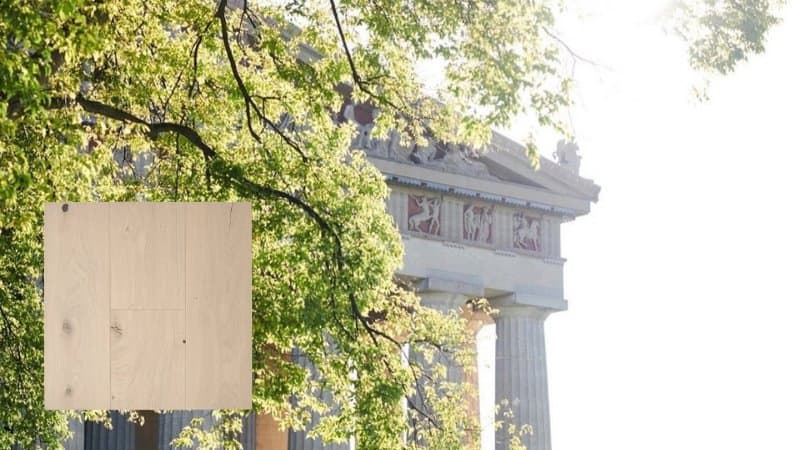 Blank wooden sign before classical columned building