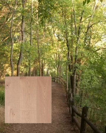 Wooded trail with wooden fence and overlay